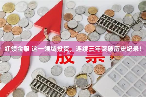 红领金服 这一领域投资，连续三年突破历史纪录！