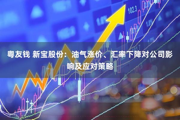 粤友钱 新宝股份：油气涨价、汇率下降对公司影响及应对策略